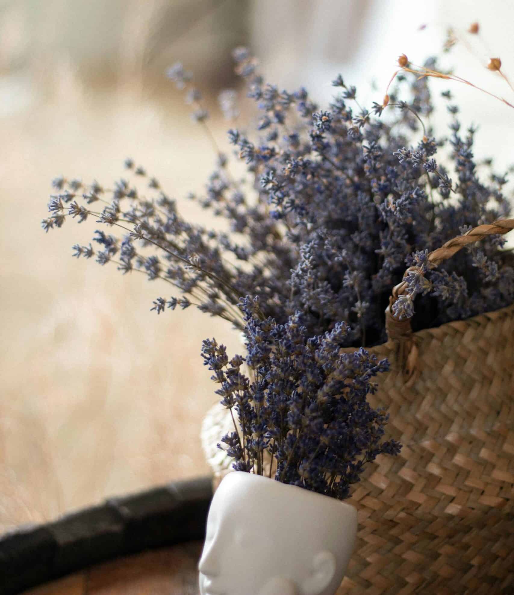 A close-up of dried purple lavender elegantly arranged in a unique ceramic vase, creating a rustic and calming atmosphere.